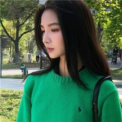 大侠梅花鹿海报